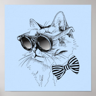 Cool Cat Poster