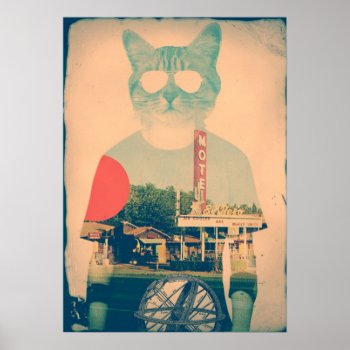Cool Cat Poster by ikiiki at Zazzle