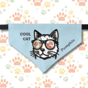 Cool Cat Sun Glasses Two Photos Pet Bandana Collar