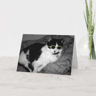 Cool Cat w Sunglasses birthday card