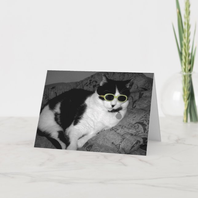 Cool Cat w Sunglasses birthday card (Front)