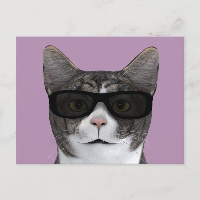 Cool Cat With Black Sunglasses Postcard (Front)
