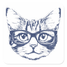 Cool Cat with Glasses