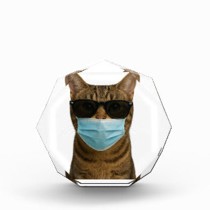 Cool Cat with Shades and Mask Acrylic Award