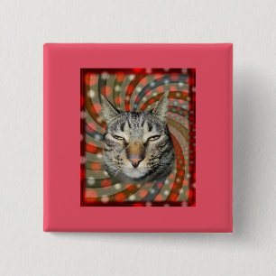 Cool Cat – YOU CAPTION Your Gift! Button