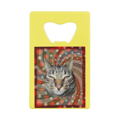 Cool Cat  YOU CAPTION Your Gift Credit Card Bottle Opener