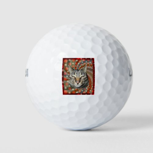 Cool Cat  YOU CAPTION Your Gift Golf Balls