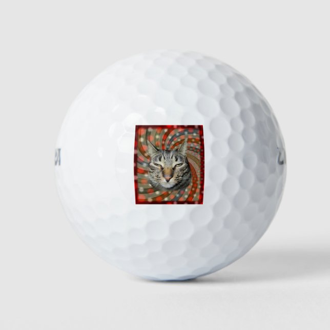 Cool Cat – YOU CAPTION Your Gift! Golf Balls (Front)