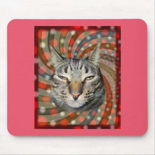 Cool Cat  YOU CAPTION Your Gift Mouse Pad