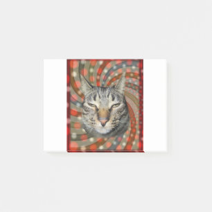 Cool Cat – YOU CAPTION Your Gift! Post-it Notes