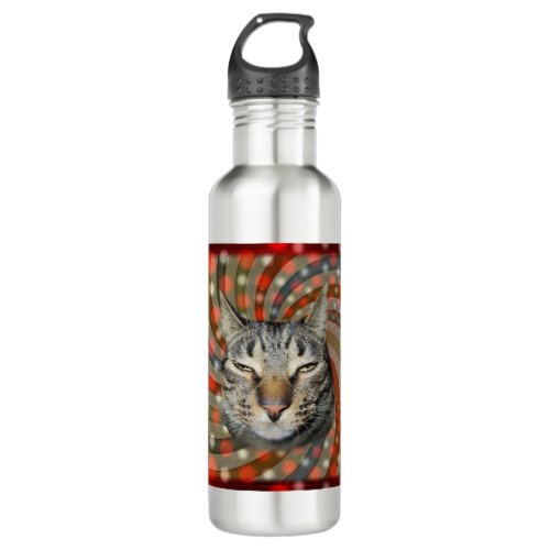 Cool Cat  YOU CAPTION Your Gift Stainless Steel Water Bottle