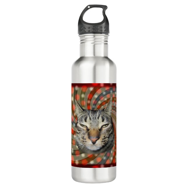 Cool Cat – YOU CAPTION Your Gift! Stainless Steel Water Bottle (Front)