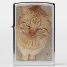 Cool Cat Zippo Lighter