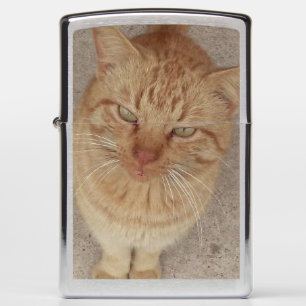 Cool Cat Zippo Lighter