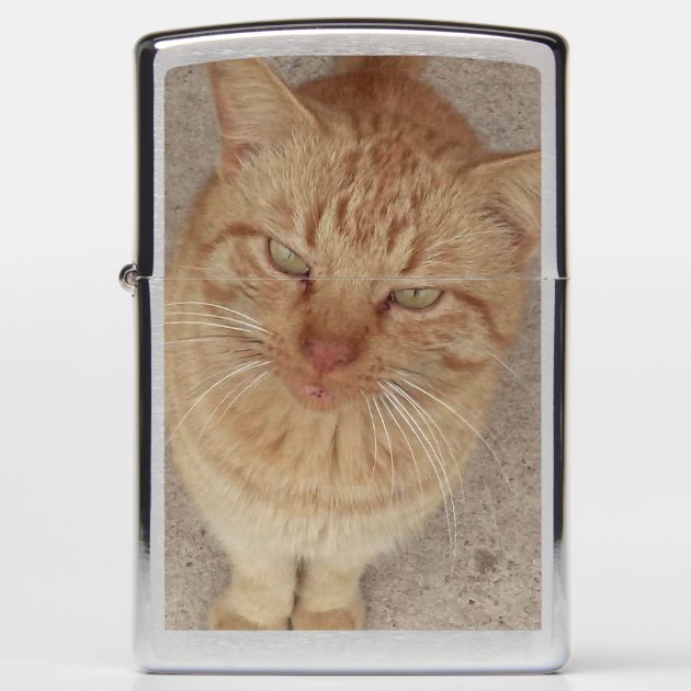 Cool Cat Zippo Lighter | Zazzle