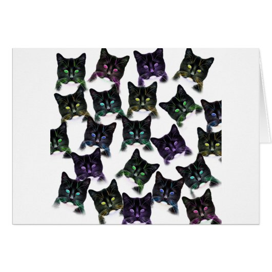 Cool Cats (Front Horizontal)