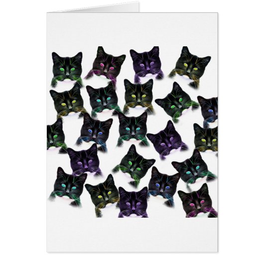 Cool Cats Cards (Front)