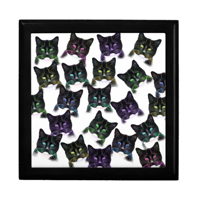 Cool Cats Jewelry Box (Front)