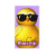 Cool Chick Fun Profile Cards
