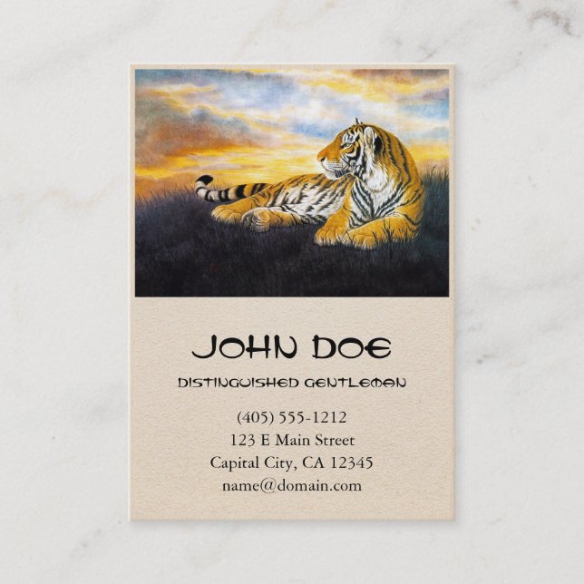 Cool chinese fluffy tiger rest sunset meadow art business card (Front)