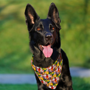 Cool colorful sweet Easter Jelly Beans Candy Pet Bandana Collar