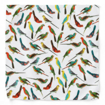 Cool colorful tropical watercolor birds pattern bandana