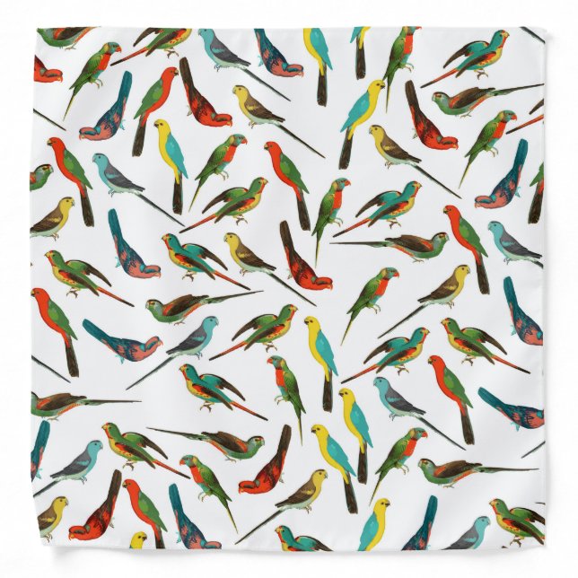Cool colorful tropical watercolor birds pattern bandana (Front)