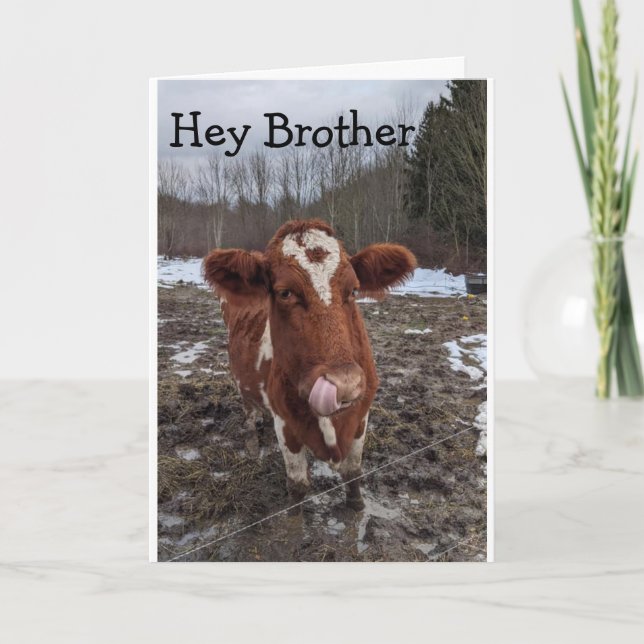 COOL COW SAYS "HAPPY BIRTHDAY BROTHER" CARD (Front)