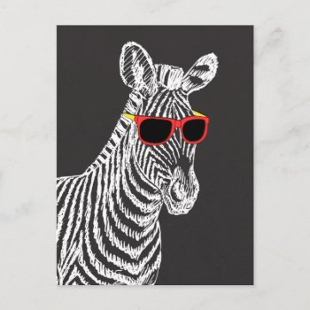 Cool Cute Funny Zebra White Sketch With Glasses Postcard by InovArtS at Zazzle