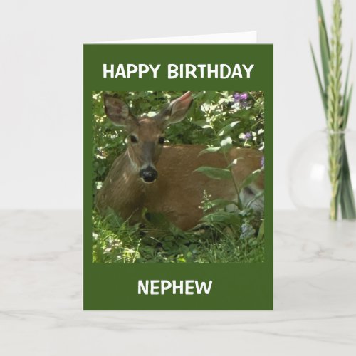 COOL DEAR SAYS HAPPY BIRTHDAY NEPHEW CARD