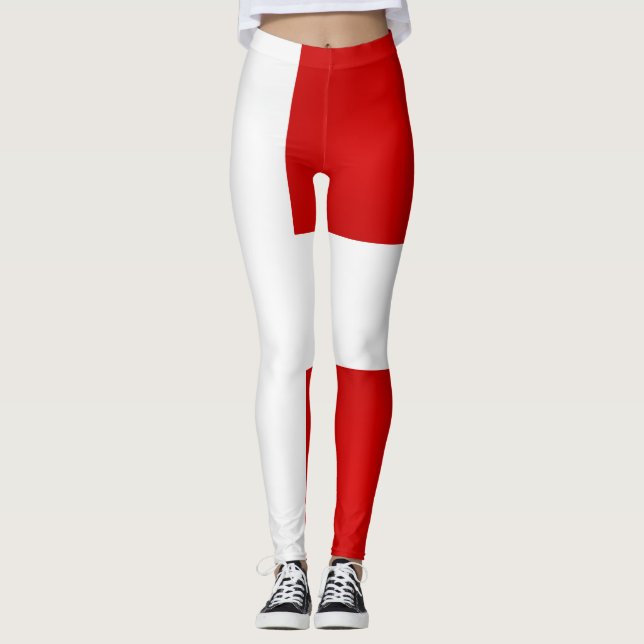 Cool Denmark Flag Fashion Leggings (Front)