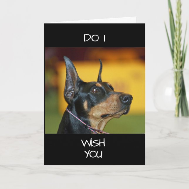 **COOL DOBERMAN** says HAPPY "40th" Card (Front)