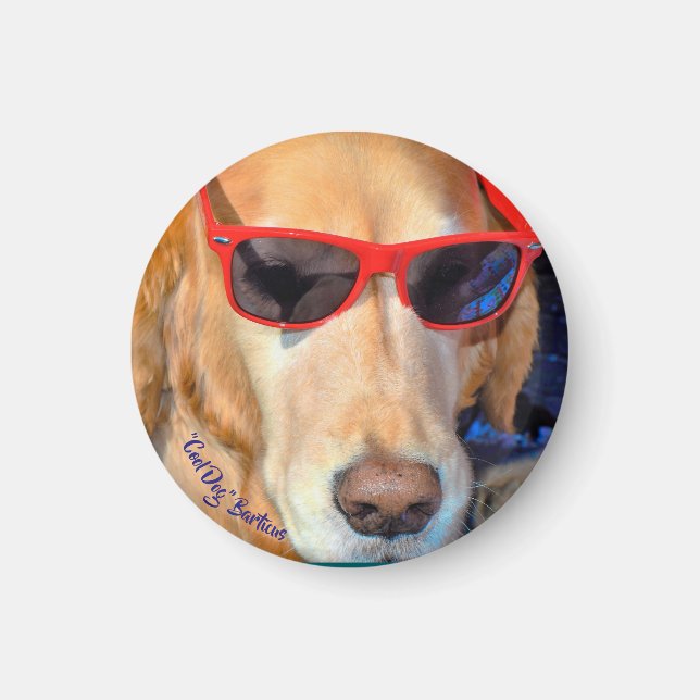 "Cool Dog" Barticus Magnet (Front)