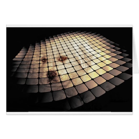 Cool Dog Digital Art (Front Horizontal)