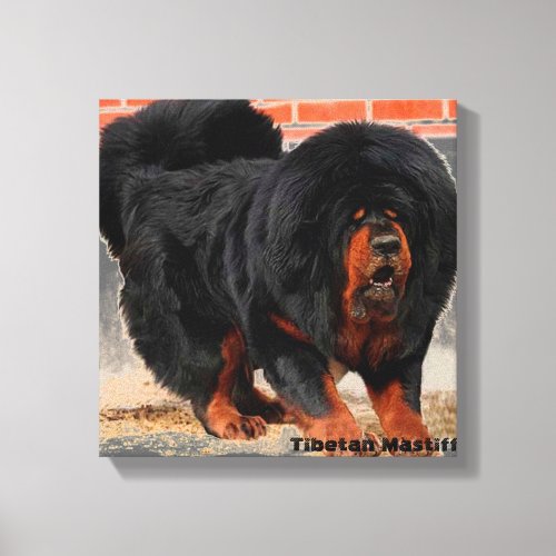 Cool Dog Lover Tibetan Mastiff Canvas Print