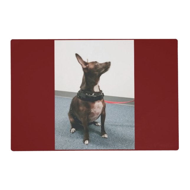 Cool Dog  Placemat (Back)