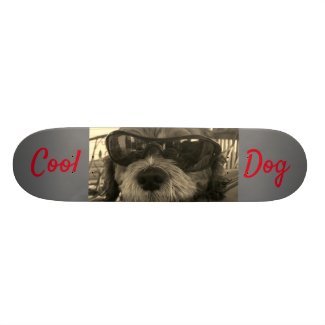 Cool Dog With Sunglasses Skateboard