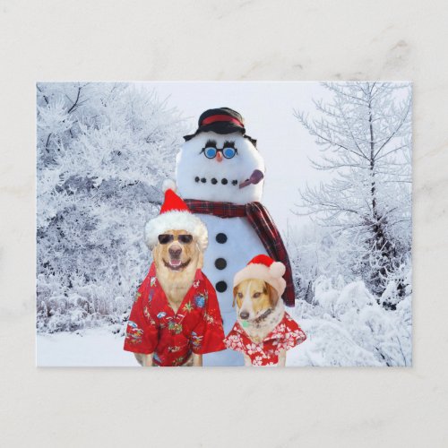 Cool Dogs and Snowman Postcard
