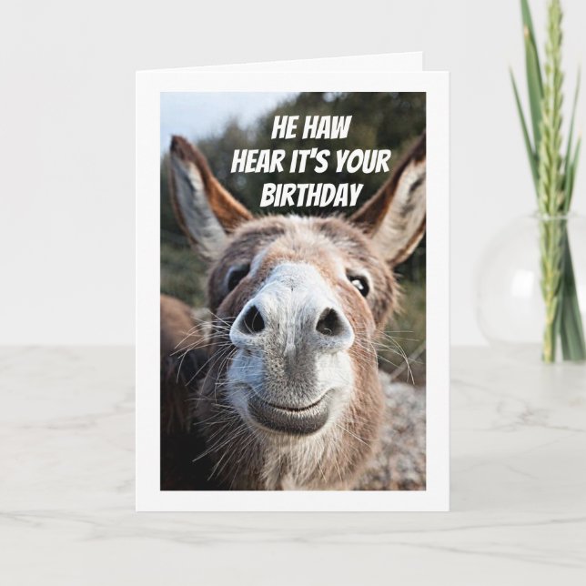 **COOL DONKEY SAYS "HAPPY BIRTHDAY" SISTER CARD (Front)