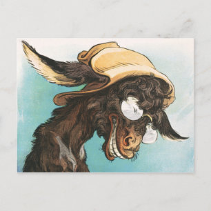 Cool donkey wearing glasses and hat postcard