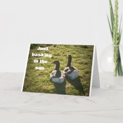 COOL DUCKS ARE SO HAPPY FOR YOU ON 40th Card