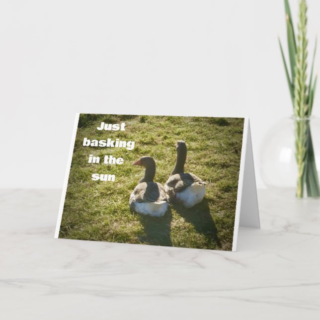 COOL DUCKS ARE SO HAPPY FOR YOU ON *40th* Card (Front)