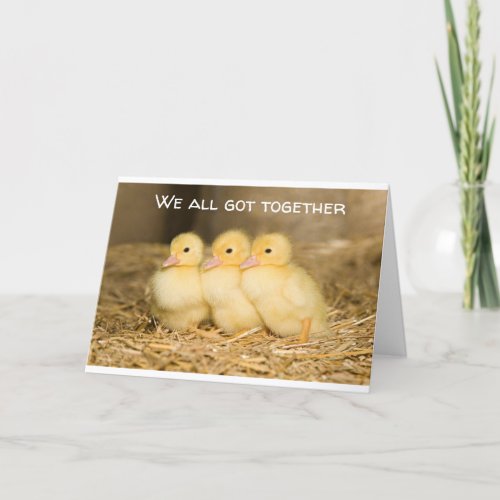 COOL DUCKS GROUP CARD FOR A BIRTHDAY PERSON CARD