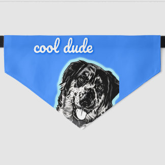 Cool Dude Australian Shephard Pet Bandana Collar
