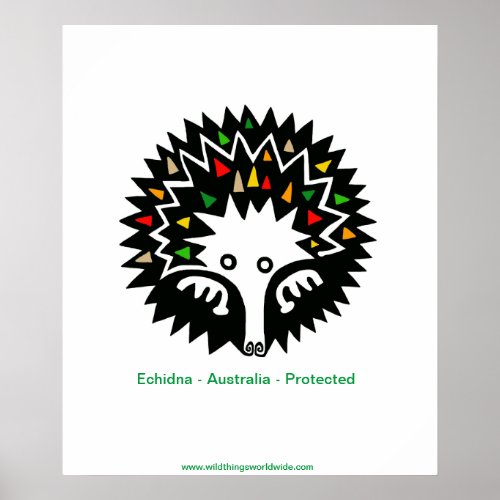  Cool ECHIDNA _ Wildlife Australia _ poster
