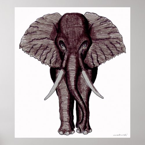 Cool elephant graphic art poster