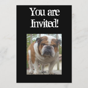 Cool English Bulldog Invitation Birthday or Any Oc