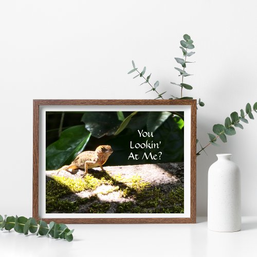 Cool Everglades Lizard Photo You Lookin At Me Poster