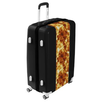 cool suitcases for men