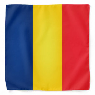 Cool Flag Of Chad Fashion Bandana